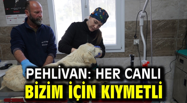 PEHLİVAN: HER CANLI BİZİM İÇİN KIYMETLİ 