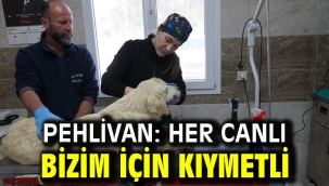 PEHLİVAN: HER CANLI BİZİM İÇİN KIYMETLİ 