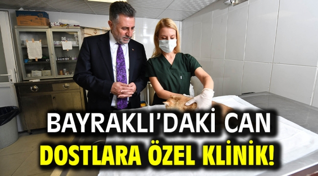 Bayraklı'daki can dostlara özel klinik!