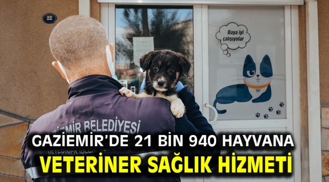 Gaziemir'de 21 bin 940 hayvana veteriner sağlık hizmeti