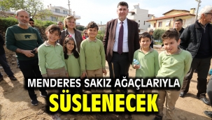 MENDERES SAKIZ AĞAÇLARIYLA SÜSLENECEK