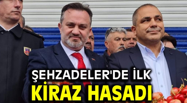 Şehzadeler'de ilk kiraz hasadı