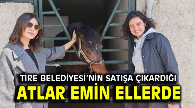 Tire Belediyesi'nin satışa çıkarttığı atlar emin ellerde