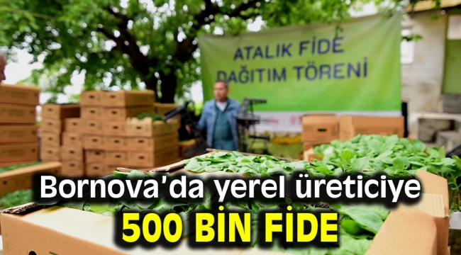 Bornova'da yerel üreticiye 500 bin fide