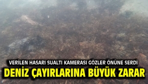 DENİZ ÇAYIRLARI ZARAR GÖRDÜ
