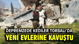Depremzede kediler Torbalı'da yeni evlerine kavuştu