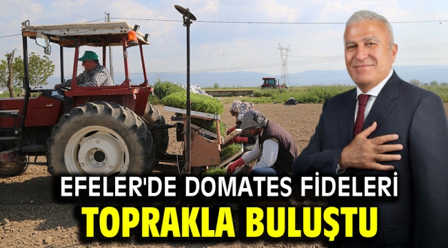 Efeler'de Domates Fideleri Toprakla Buluştu