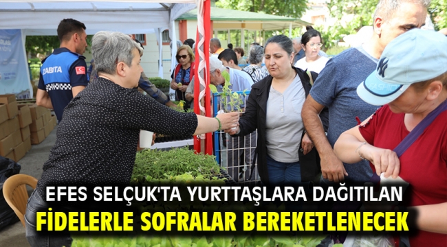 Efes Selçuk'ta yurttaşlara dağıtılan fidelerle sofralar bereketlenecek