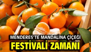 Menderes'te Mandalina Çiçeği Festivali Zamanı