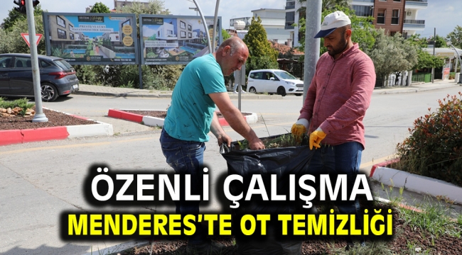 Menderes'te Ot Temizliği