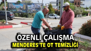 Menderes'te Ot Temizliği