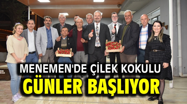 Menemen'de çilek kokulu günler başlıyor