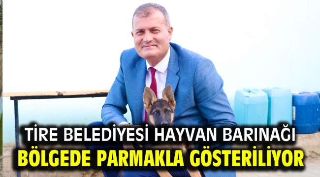 TİRE BELEDİYESİ HAYVAN BARINAĞI BÖLGEDE PARMAKLA GÖSTERİLİYOR