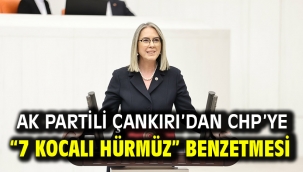 AK Partili Çankırı'dan CHP'ye "7 Kocalı Hürmüz" Benzetmesi