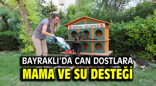 Bayraklı'da can dostlara mama ve su desteği