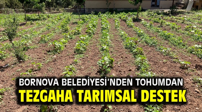 Bornova Belediyesi'nden tohumdan tezgaha tarımsal destek