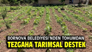 Bornova Belediyesi'nden tohumdan tezgaha tarımsal destek