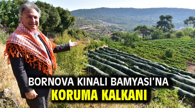 Bornova Kınalı Bamyası'na koruma kalkanı