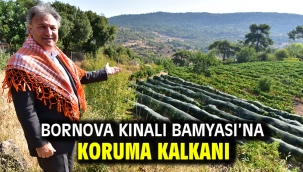 Bornova Kınalı Bamyası'na koruma kalkanı