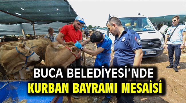 Buca Belediyesi'nde Kurban Bayramı mesaisi