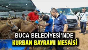 Buca Belediyesi'nde Kurban Bayramı mesaisi