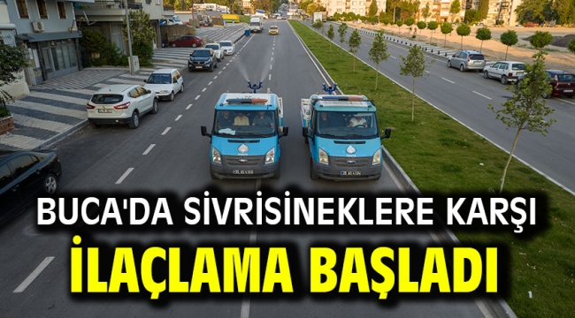 Buca'da sivrisineklere karşı ilaçlama başladı