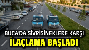 Buca'da sivrisineklere karşı ilaçlama başladı