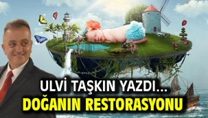 Doğanın Restorasyonu