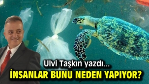 İnsanlar bunu neden yapıyor?