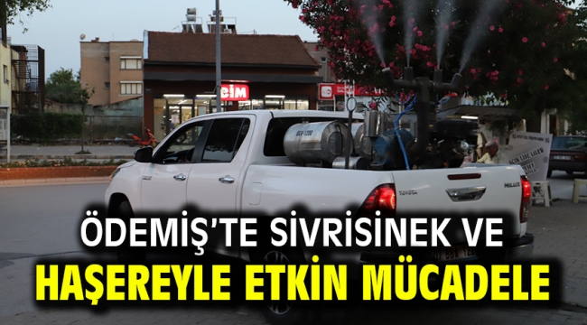 Ödemiş'te sivrisinek ve haşereyle etkin mücadele