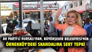 Ak Parti'li Bursalı'dan, Büyükşehir Belediyesi'nin Örnekköy'deki skandalına sert tepki