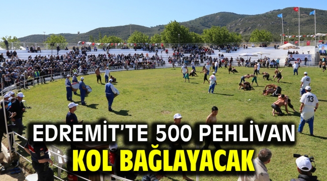 Edremit'te 500 pehlivan kol bağlayacak