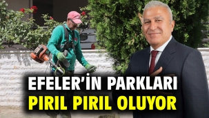Efeler'in Parkları Pırıl Pırıl Oluyor