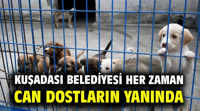 Kuşadası Belediyesi Her Zaman Can Dostların Yanında