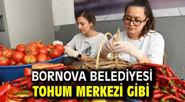 Bornova Belediyesi tohum merkezi gibi