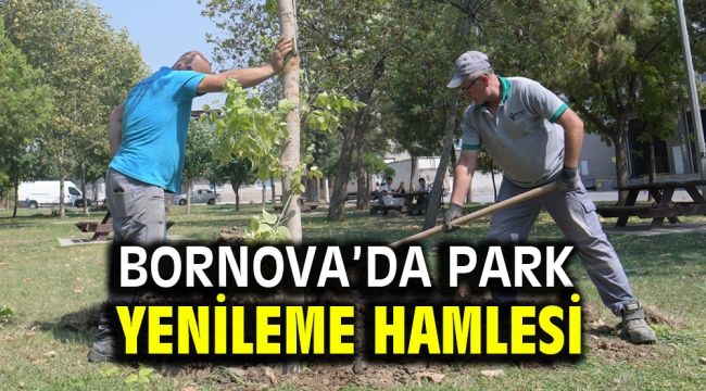 Bornova'da park yenileme hamlesi