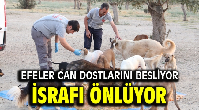 Efeler can dostlarını besliyor, israfı önlüyor