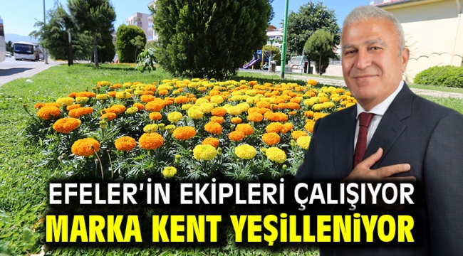 Efeler'in Ekipleri Çalışıyor Marka Kent Yeşilleniyor