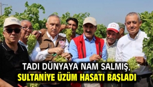 TADI DÜNYAYA NAM SALMIŞ, SULTANİYE ÜZÜM HASATI BAŞLADI