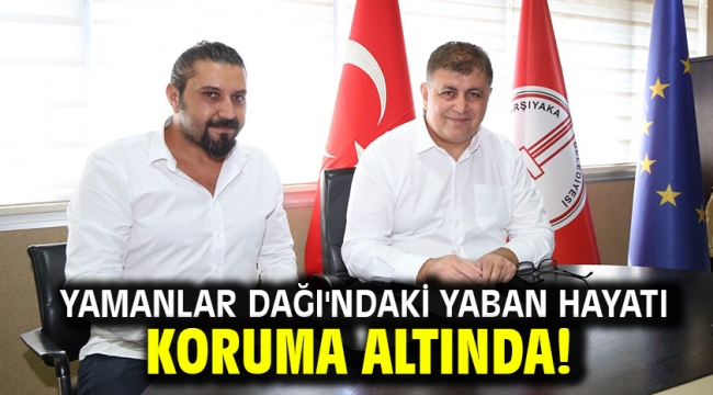 Yamanlar Dağı'ndaki yaban hayatı koruma altında!