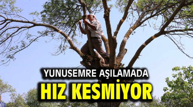 YUNUSEMRE AŞILAMADA HIZ KESMİYOR