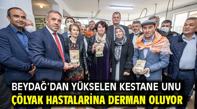 Beydağ'dan Yükselen Kestane Unu Çölyak Hastalarina Derman Oluyor 