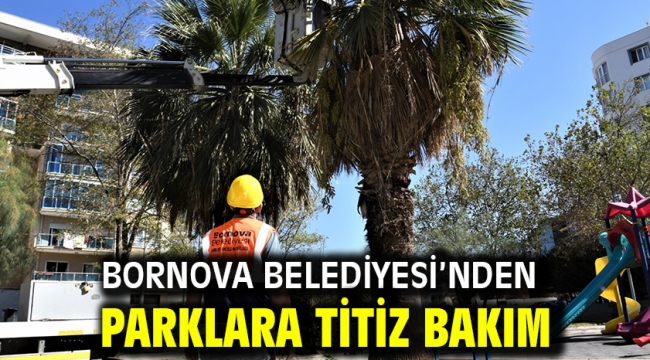 Bornova Belediyesi'nden parklara titiz bakım