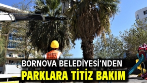Bornova Belediyesi'nden parklara titiz bakım