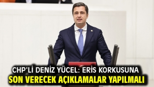 Chp'li Deniz Yücel: Eris Korkusuna Son Verecek Açıklamalar Yapılmalı