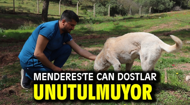 Menderes'te Can Dostlar Unutulmuyor