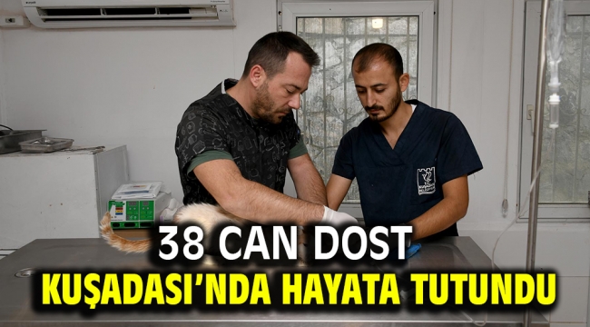 38 Can Dost Kuşadası'nda Hayata Tutundu