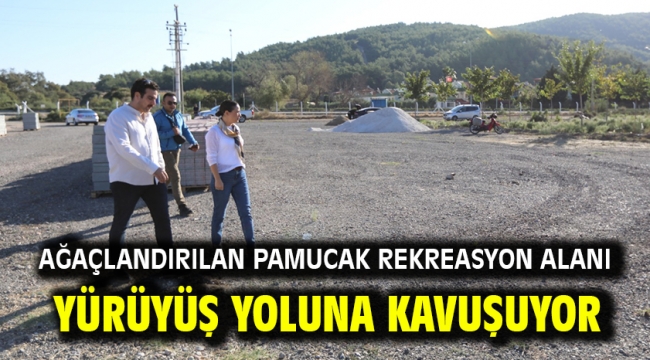 Ağaçlandırılan Pamucak Rekreasyon Alanı Yürüyüş Yoluna Kavuşuyor