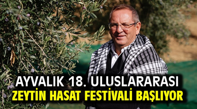 Ayvalık 18. Uluslararası Zeytin Hasat Festivali Başlıyor