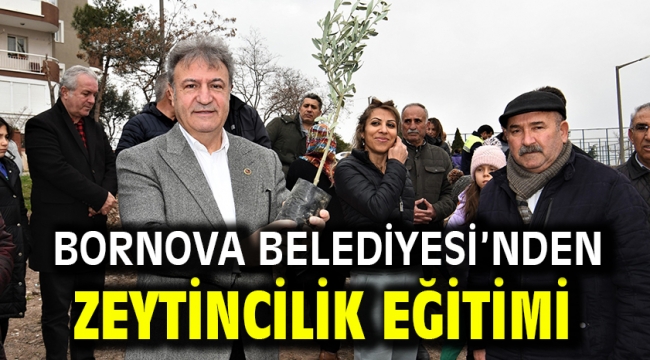 Bornova Belediyesi'nden zeytincilik eğitimi